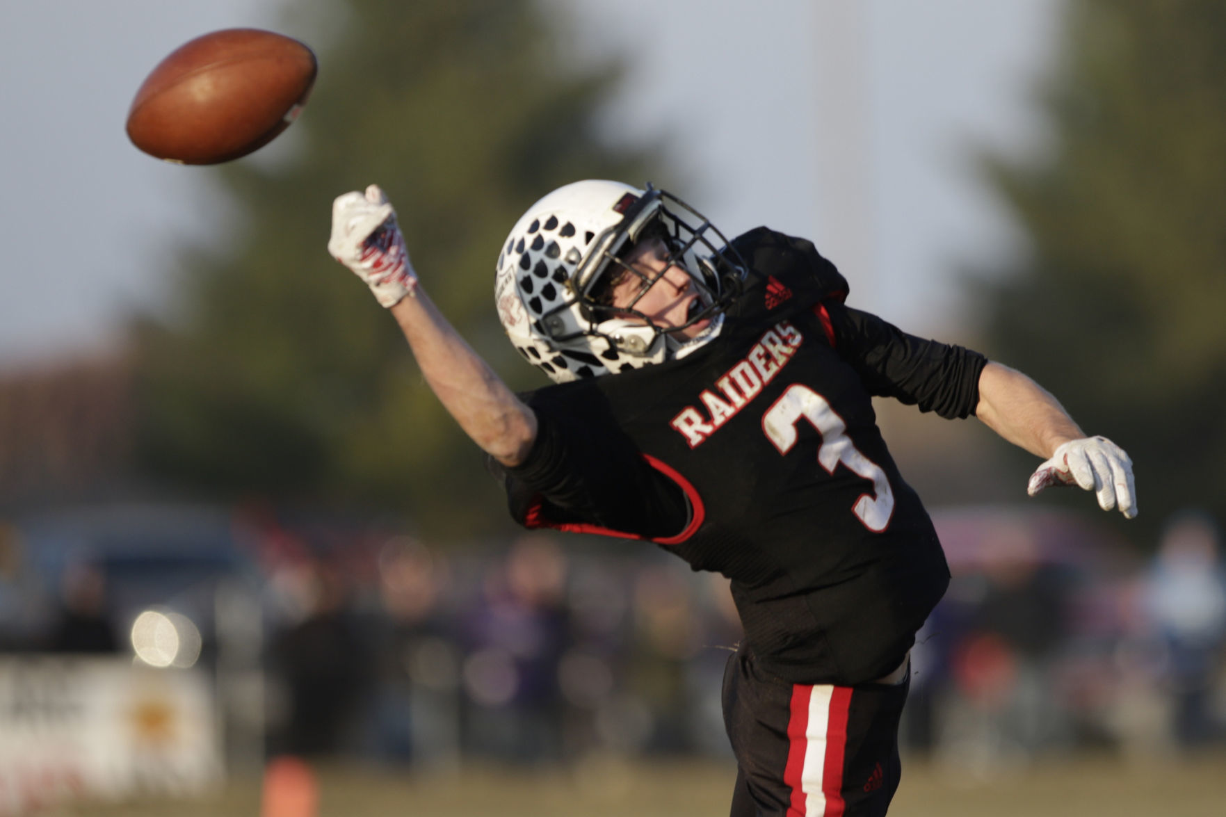 GALLERY-CAM-V-ARCOLA-26-111719.JPG